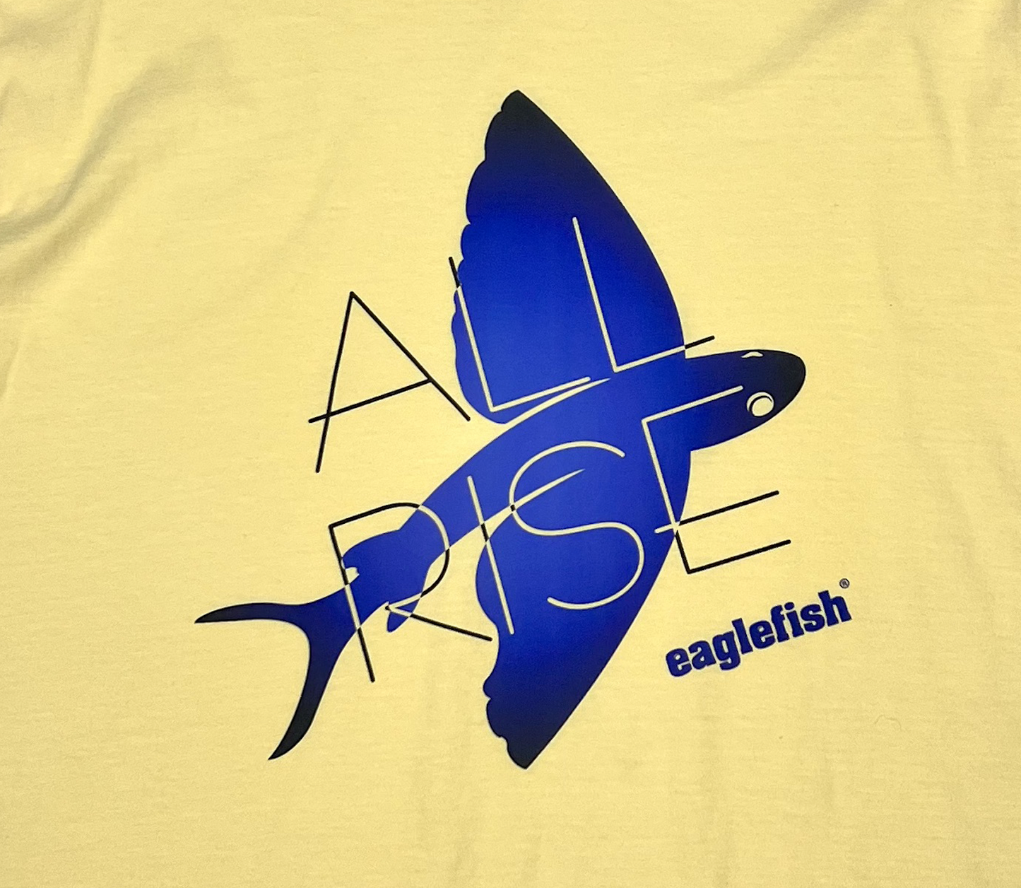 ARO Short Sleeve T-Shirts: Night/Yellow