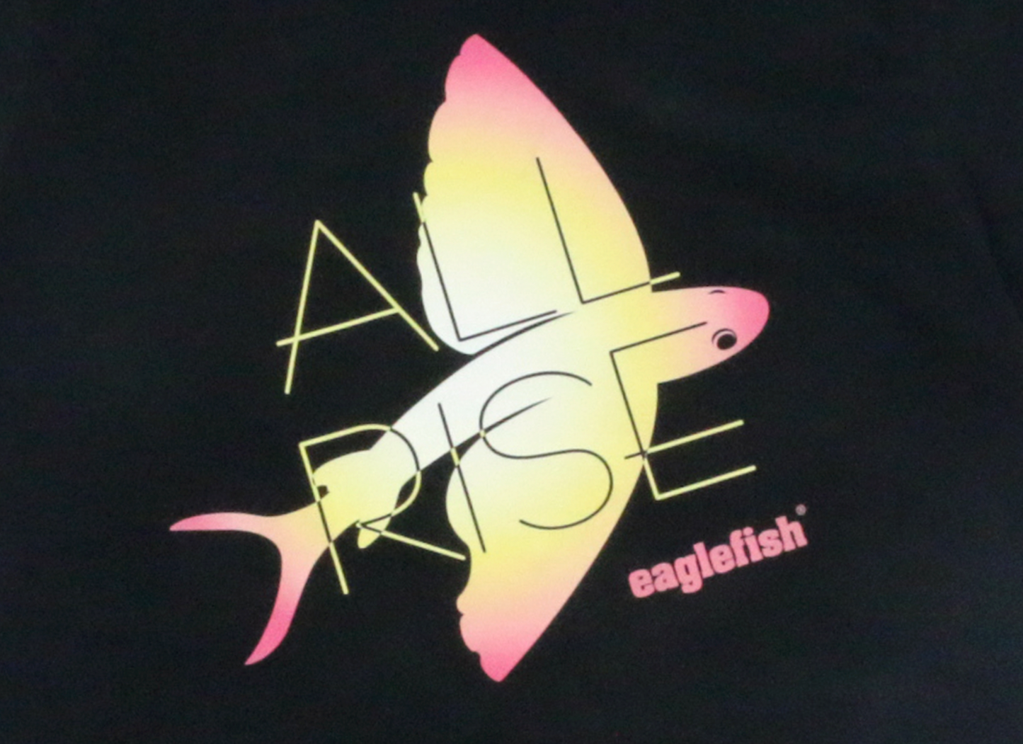 ARO Short Sleeve T-Shirts: Evening/Black